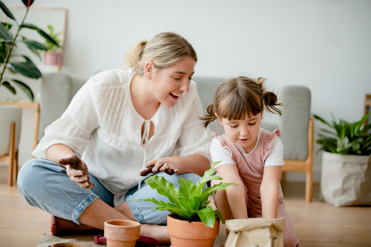 Get your garden ready for summer